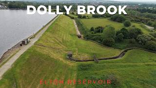 Seeing Dolly Brook like you've NEVER seen it before