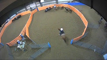 Big Sky Ranch Sorting Saddle Series #2 - Open H/C - Round #1 - Ride #20