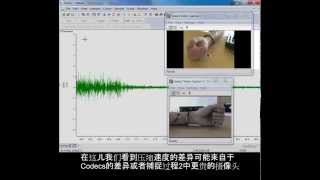 Spike2 视频教程: 多媒体记录 (Video captureC)