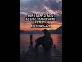 #mensaje #fe #diosesbueno #reflexion #diosesbueno