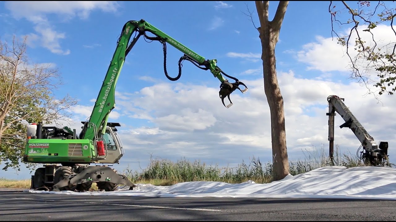 Chantiers d'abattage mécanisé du canal du Midi - Holtzinger