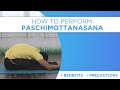 How to Perform Paschimottanasana | Yoga for flexibility | Hip Opener | Yog4Lyf