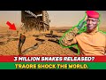 What’s REALLY Behind Burkina Faso’s Plan to Release 3 Million Snakes into the Sahel Desert?