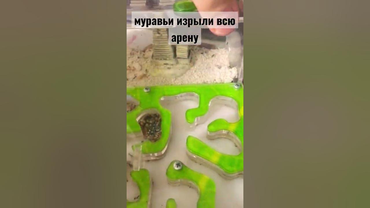 Планеты в чёрных дырах??? 