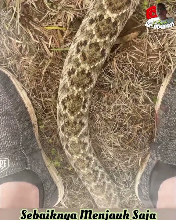 Keep Your Distance From Conflict