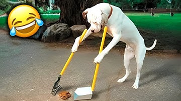 🐾3 Hours of Funniest Animals in The World 🤣 Funniest Pets EVER 2025🐶🐱
