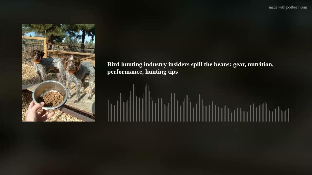 Bird hunting industry insiders spill the beans gear, nutrition