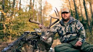 PA Public Land Bow Buck |TRACKING HOUNDS