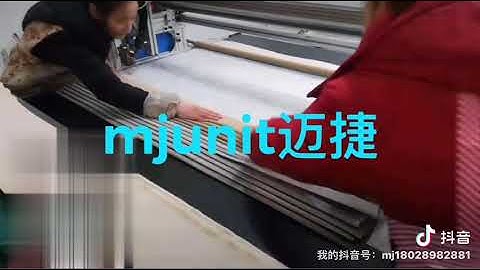 mjunit XY axis linear guide synchronous belt slide manipulator linear module with gantry structure