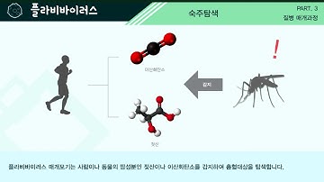 뎅기열 등 모기에 의해 전파되는 감염병 예방은 개인방어가 최선입니다.