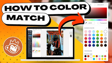 PicMonkey Color Tutorial: How to Match Colors, Use Hex Codes, Color Picker, and More!