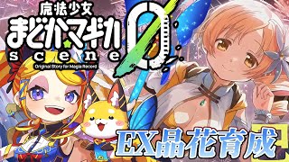 【魔法少女まどか☆マギカ Magia Exedra 】能力晶花EX集めながらsteamでやってくぅ！【Vtuber 彩色いぶき】