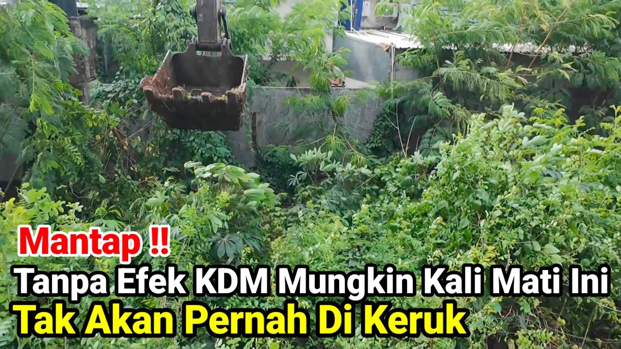 Mantap‼️Tanpa Efek KDM Mungkin Kali Mati Ini Tidak Akan Di Keruk