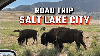 Salt Lake City! Exploring Antelope Island, and The Great Salt Lake