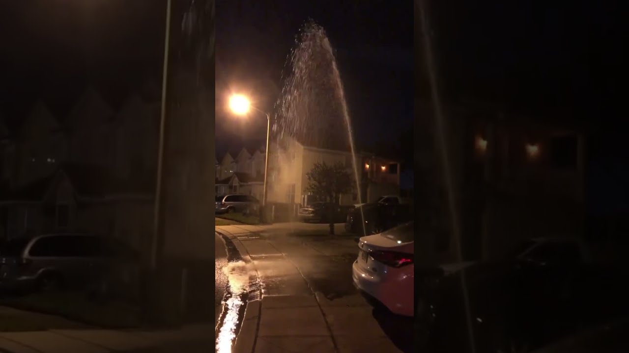 Looks Like Someone Has A Busted Sprinkler Shorts