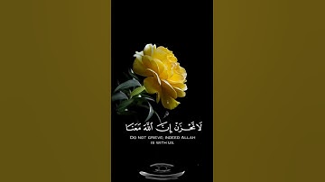 صباح الخير🍃اجمل حالات واتس اب مقاطع قصيره🍃قران كريم لا تحزن ان الله معنا🍃 عبد الرحمن مسعد🍃بدون حقوق