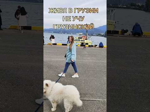 ИММИГРАНТЫ ГОДАМИ ЖИВУТ В ГРУЗИИ БЕЗ ЗНАНИЯ ЯЗЫКА #переезд #грузия #батуми #сакартвело #эмиграция