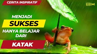 Cerita Inspiratif Sukses Belajar Dari Seekor Katak