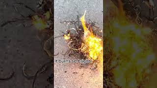 Titanium Is Extremely Flammable