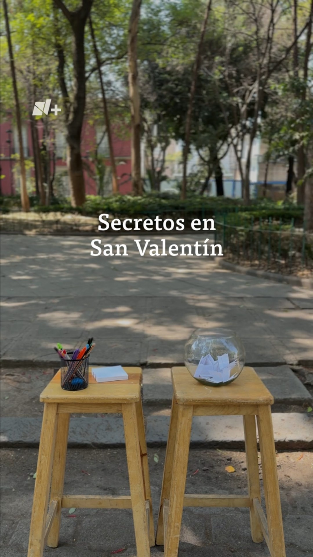 Los secretos de amor #nmas #shorts #sanvalentin