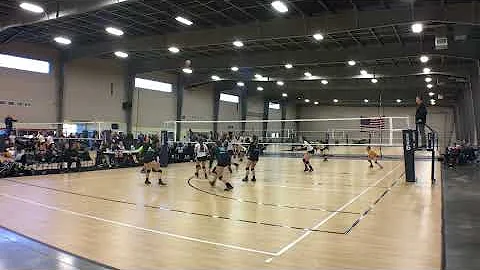 Kara O'Neal #13  Highlights