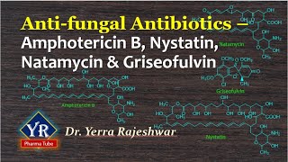 Antifungal Antibiotics - Amphotericin B, Nystatin, Natamycin & Griseofulvin | YR Pharma Tube