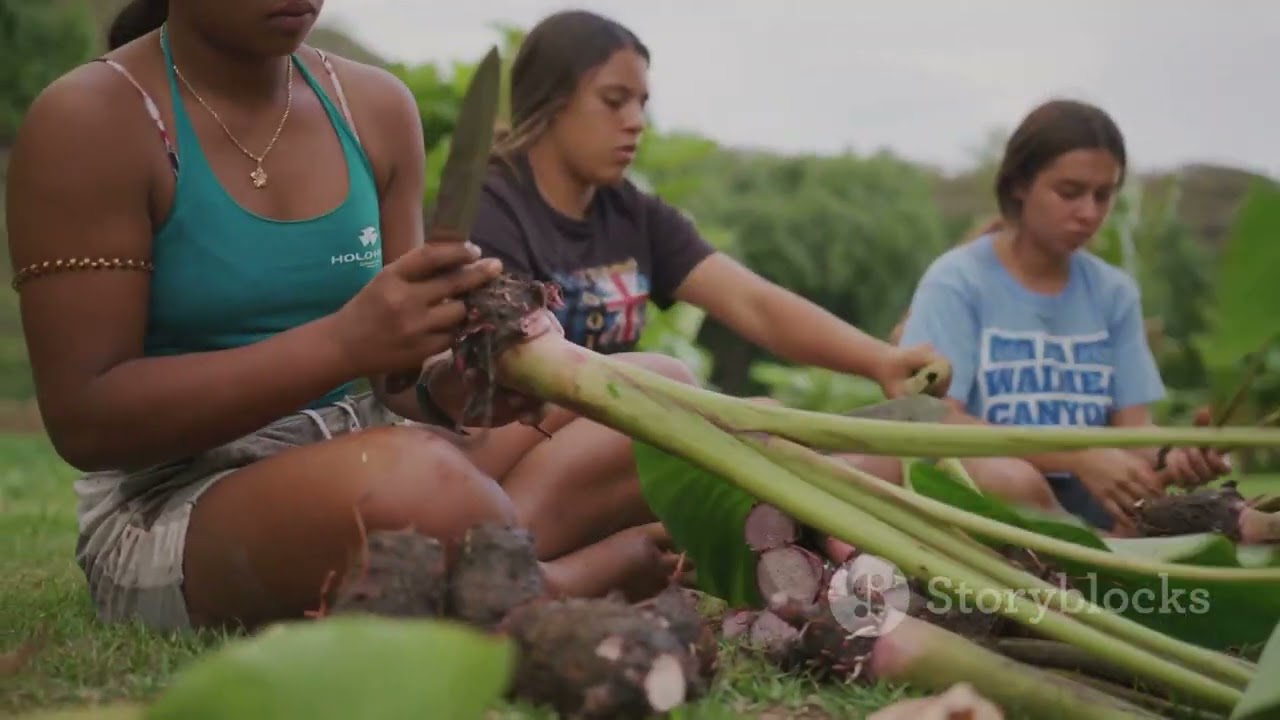 Exploring the Majestic Blue Ridge Mountains