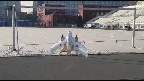 A demo of tailsitter VTOL UAV