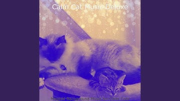 Subdued Backdrops for Relaxing Cats