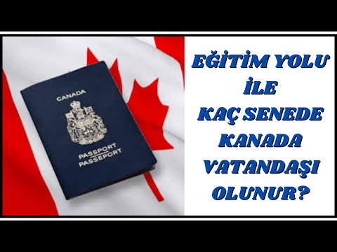 Video: Kansas izin testinde kaç soruyu kaçırabilirsin?