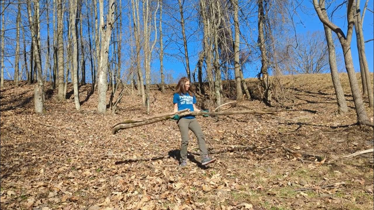 Cleaning up dead ash trees! YouTube