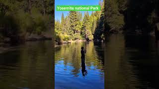 Yosemite national Park  Gracias por seguirme, #vacations El presentador Beepolar