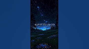 سورة التوبة ( الشيخ ياسر الدوسري )❤️