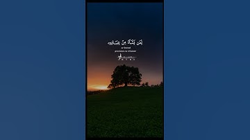 أستمع إلي جمال القرآن الكريم 🎧 | تلاوة رائعة للشيخ فارس عباد