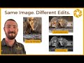 Editing Wildlife Photos for Different Uses