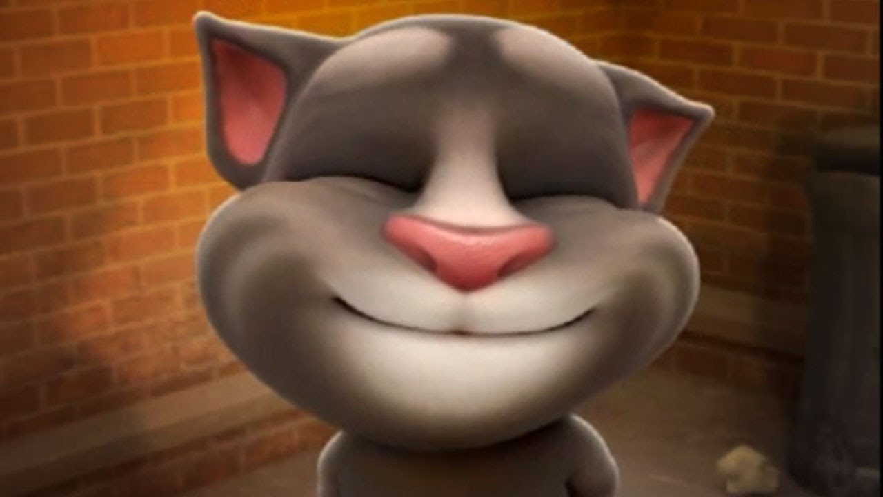 Talking TOM cat - funny reaction by My Talking cat TOM - best iPhone  Android Apps games kids episode - YouTube