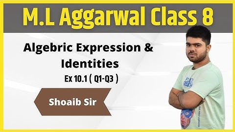 Class 8 | M.L  Aggarwal | Algebric Expression & Identities | Ex 10.1 | Part 01