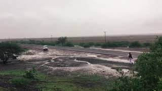 رجعت بعد سنين بلدك تغني وفرحتك شايلاك 💚