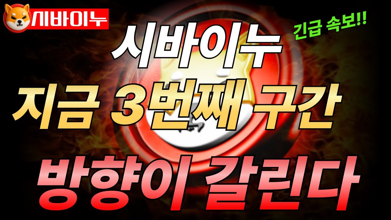 시바이누코인] 지금 3번째 구간… 시바이누 방향이 갈린다(1원의 기적) - YouTube