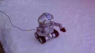 Roger Robot