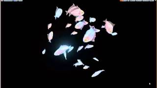 fish rotation particles