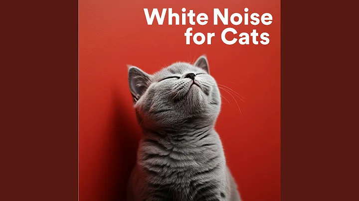White Noise Therapy for Cats’ Sleep