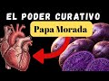 El Milagro de la PAPA MORADA: Cómo Bajar la Presión y el Azúcar (¡No la cocines así!)