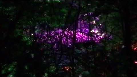 @Normaal50jaar🥳🥳🥳🥳🥳🥳🥳🥳 opening in Lochem openlucht 