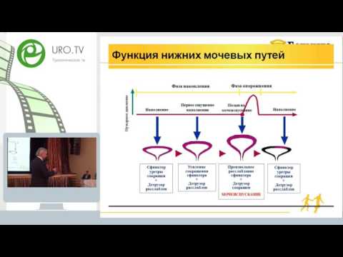 Кривобородов Г Г - Мирабегрон, принципиально новый препарат для лечения ГМП