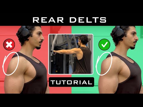 BUILD your Shoulders | Rear Delt Fly Tutorial | Beginner’s Guide to Gym Machines