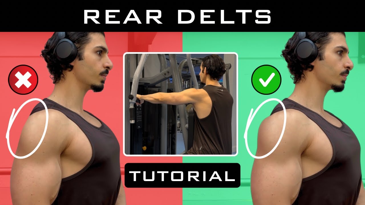 BUILD your Shoulders | Rear Delt Fly Tutorial | Beginner’s Guide to Gym Machines