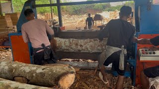 Wood 🪵 Log Debarking Hydraulic Processing Works