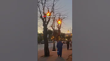 سيدي ربي خليلي والديا هما لامور هما لاڤي 