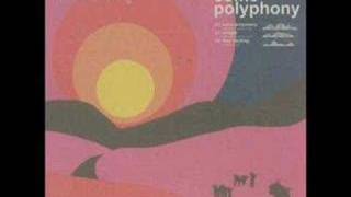 Petter - some polyphony